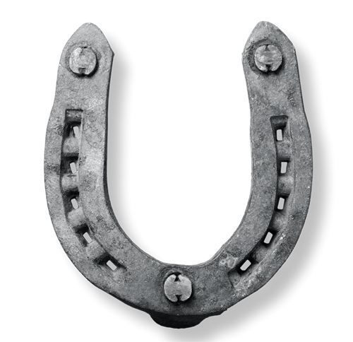 silverhorseshoe