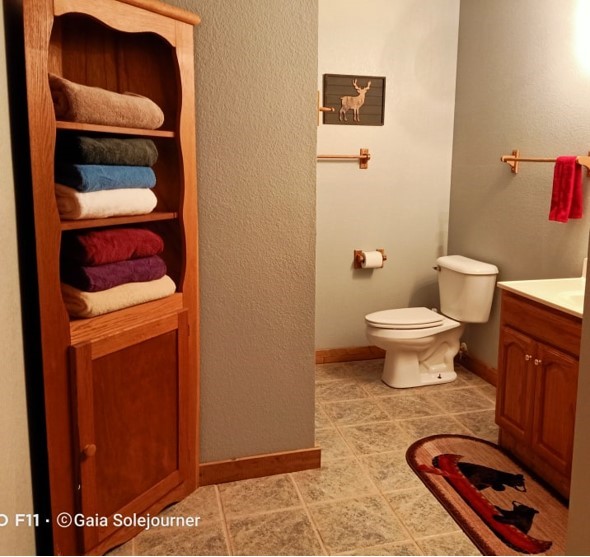 downstairs bathroom 2