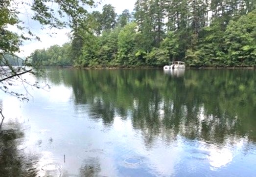 cove and dock